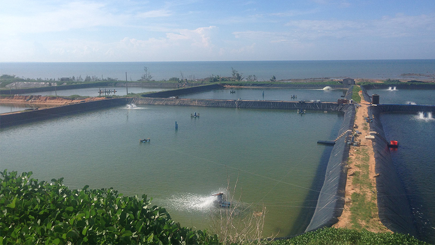 Anti-seepage project of livestock farm in Suihua, Heilongjiang Province